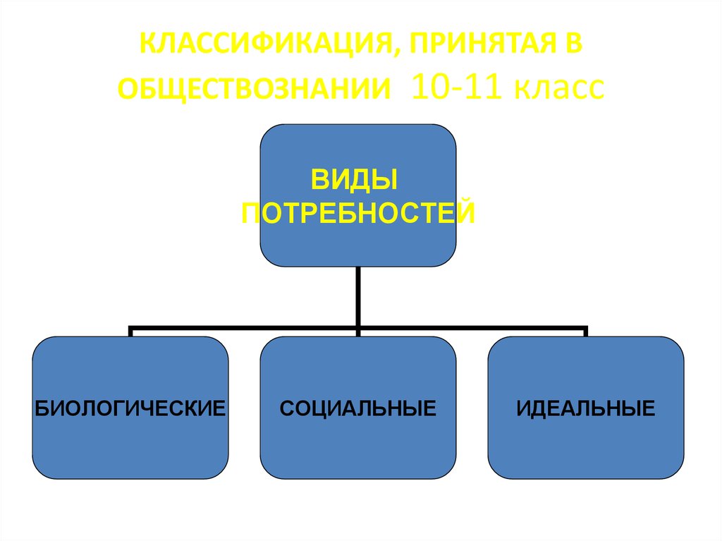 Биологическая и социокультурная эволюция