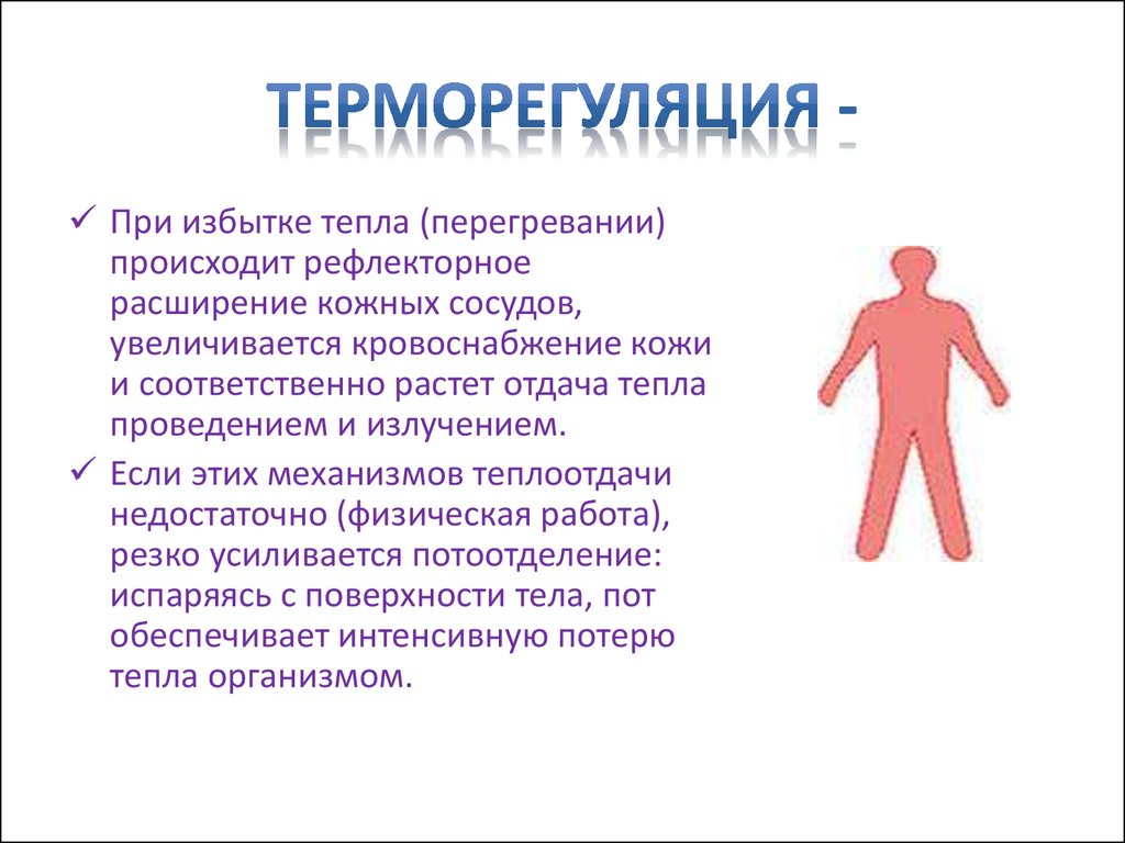 Терморегуляция. Терморегуляция тела человека. Терморегуляция кожи. Теплорегуляция организма. Функции терморегуляции.