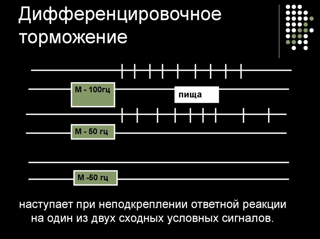 Угасательное торможение это. Дифференцировочное торможение условных рефлексов. Дифференцировочное торможение схема. Дифференцированное торможение. Пример дифференцировочного торможения.