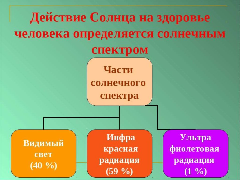 Влияние солнечных лучей на кожу человека проект по биологии 6 класс