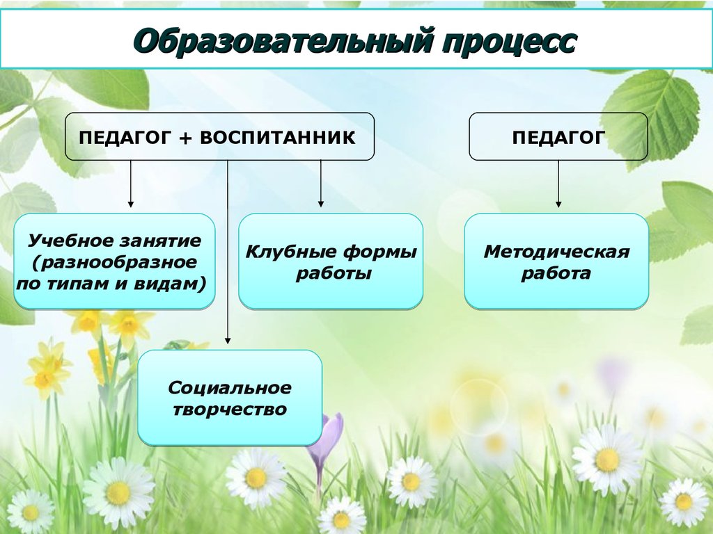 Клубные формы работы