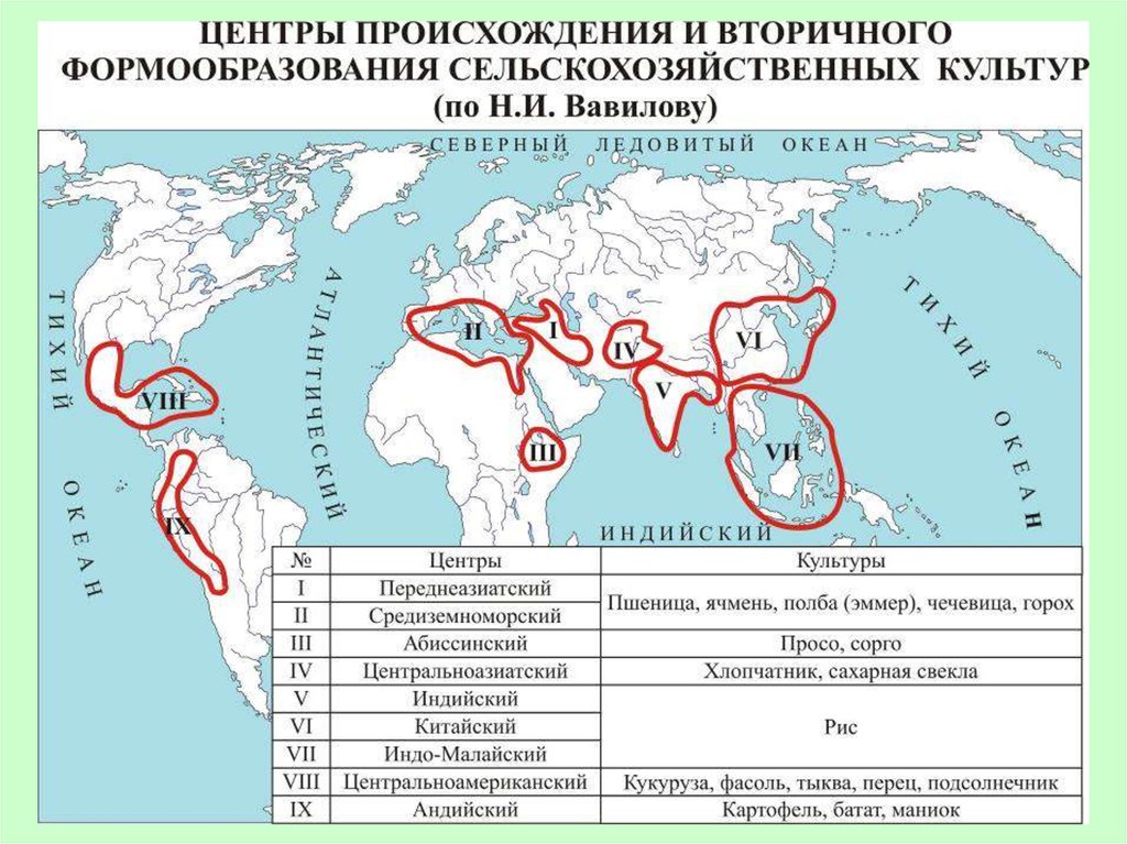 Центры происхождения культурных растений. Первичные центры происхождения культурных растений карта. Центры происхождения культурных растений по Вавилову. Центры происхождения культурных растений по Вавилову карта.