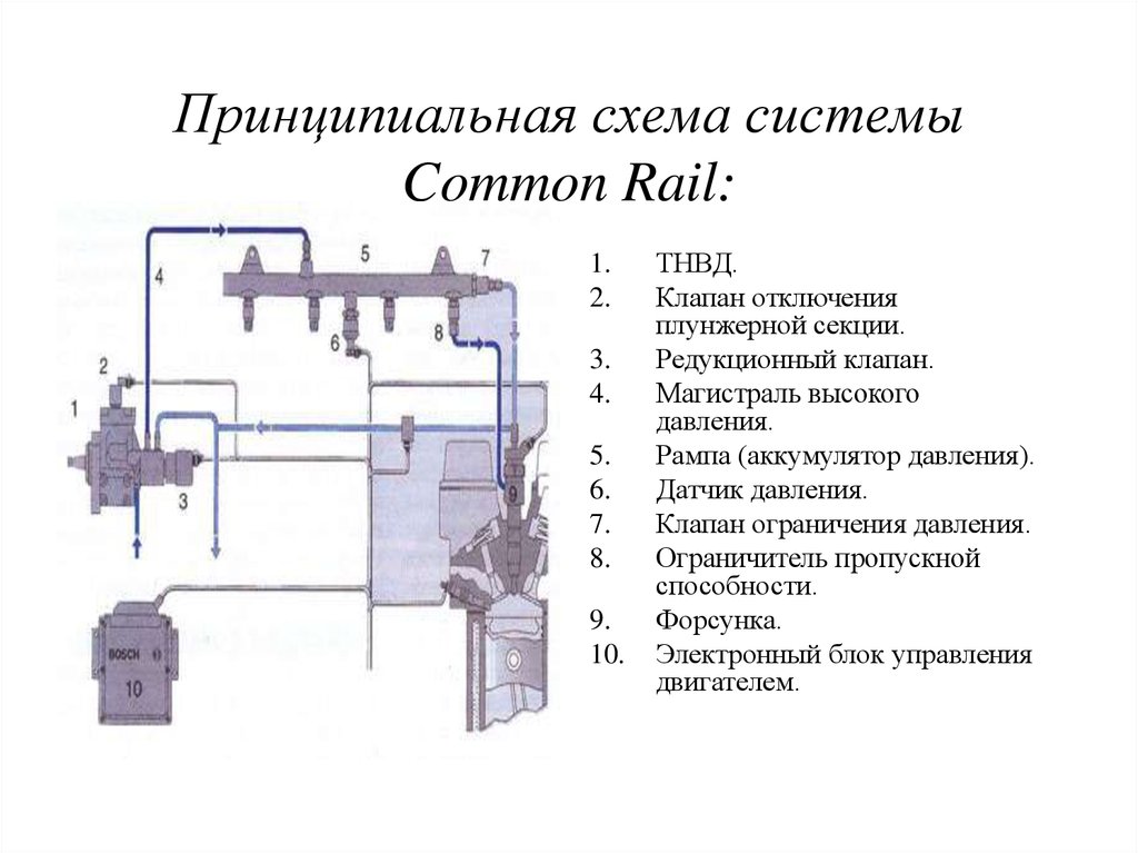 Схема системы питания коммон рейл