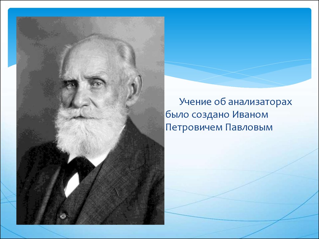 Учение об анализаторах разработано. Учение и.п. Павлова об анализаторах. Павлов учение об анализаторах. Анализаторы ученики. Павлов анализаторы.