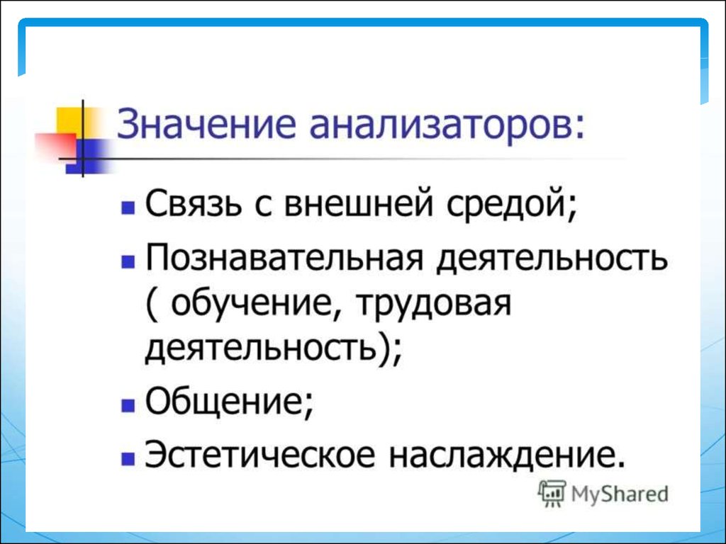 Анализаторы человека значение