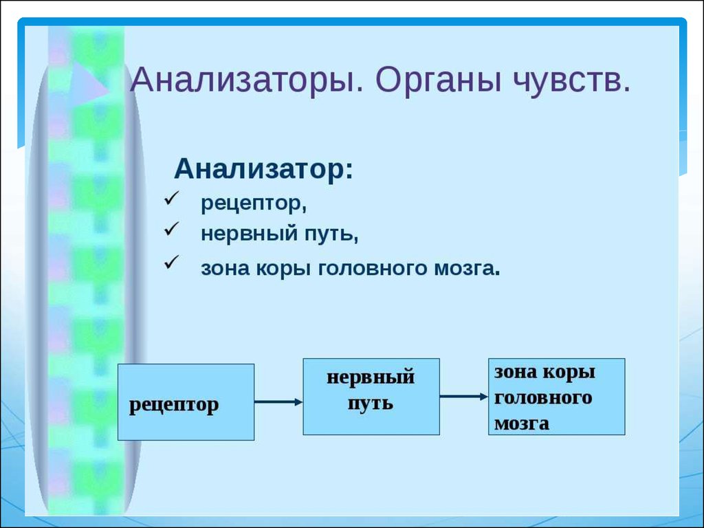 Функции анализаторов презентация