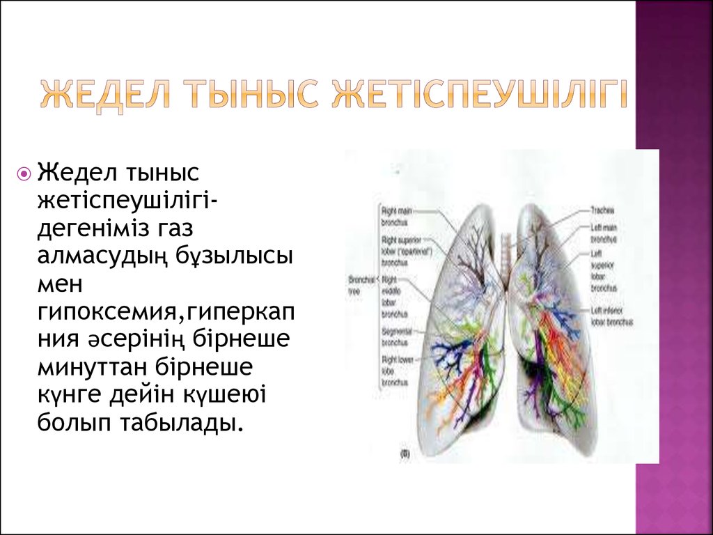 Өкпе жүрек жетіспеушілігі презентация