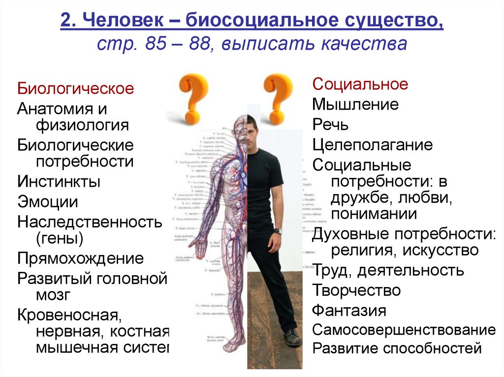 Сложный план человек как существо биосоциальное существо