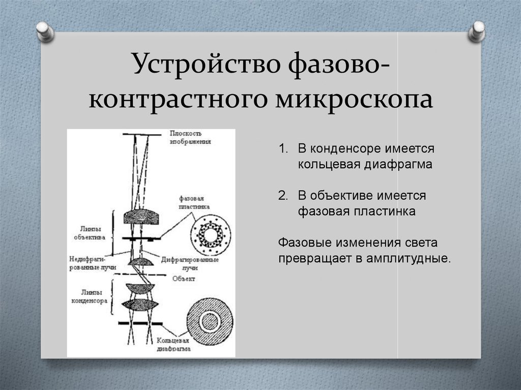 Микроскоп презентация по физике 8 класс