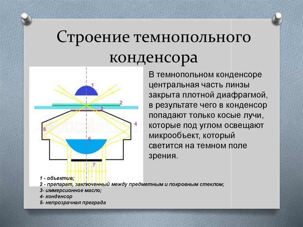 Строение темнопольного конденсора