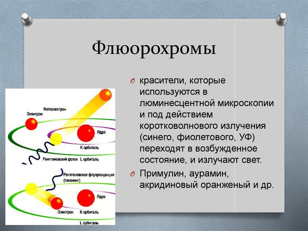 Флюорохромы