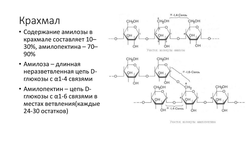 Крахмал тип связи. Строение крахмала амилоза и амилопектин. Крахмал формула амилопектин. Амилоза и амилопектин формулы. Крахмал формула амилоза и амилопектин.