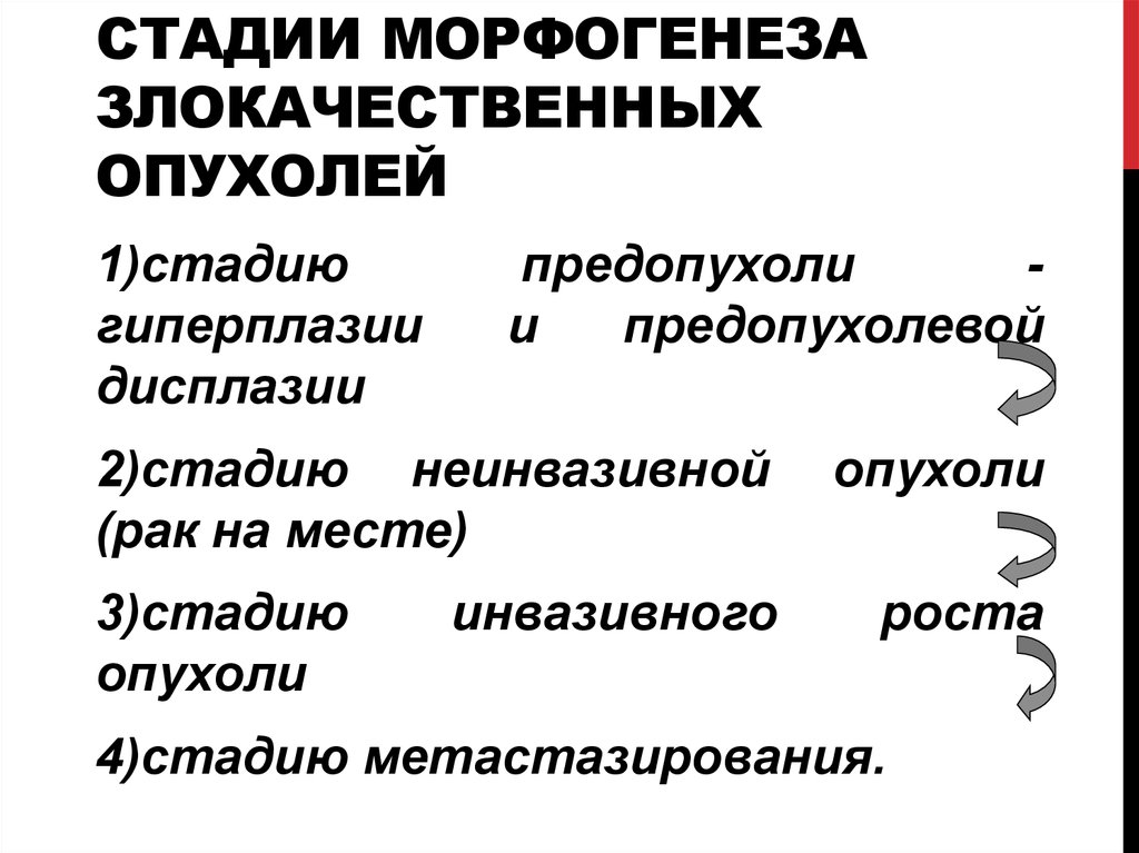 2 степень злокачественности рака. Морфогенез опухоли стадии. Стадии опухолевого морфогенеза. Морфогенез злокачественных опухолей. Фазы морфогенеза опухолей.