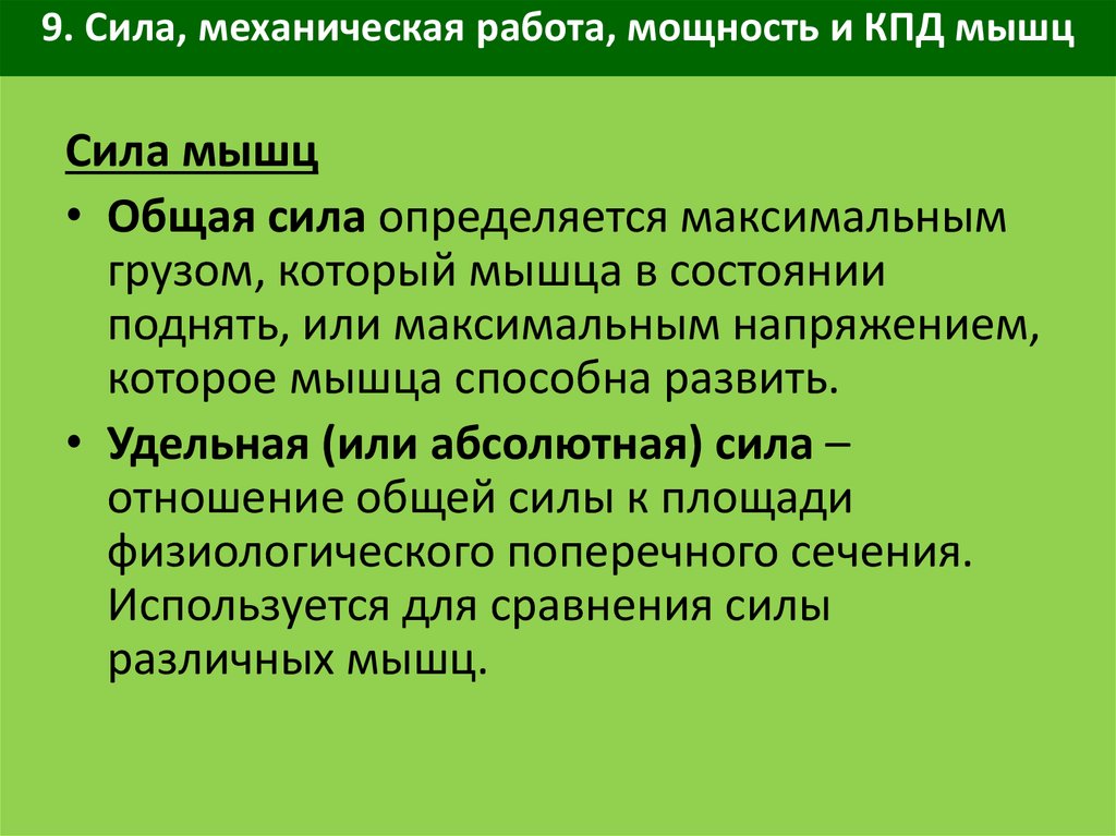 Мышечная сила. Мощность мышц физиология. Факторы определяющие силу мышц физиология. Общая сила мышц. Мощность мышечной работы.