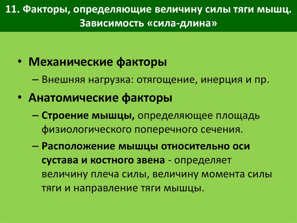 Влияние факторов на работоспособность. Факторы влияющие на силу мышц. Факторы определяющие силу сокращения скелетных мышц. Факторы определяющие силу мышечного сокращения. Факторы влияющие на силу сокращения мышцы.