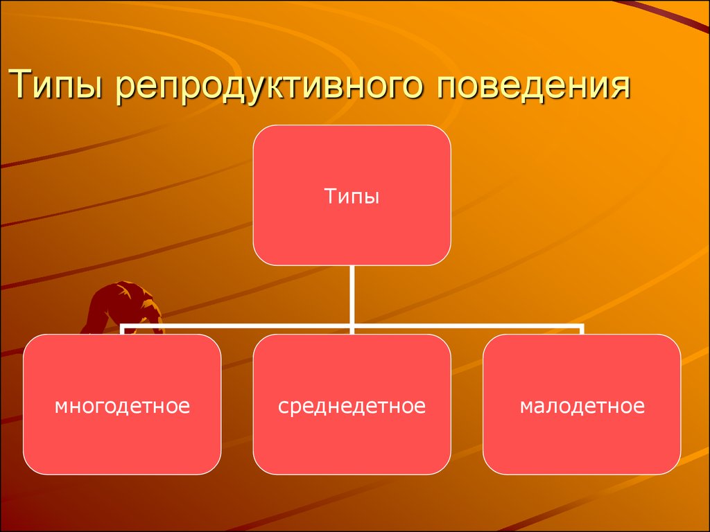 Носит исключительно репродуктивный