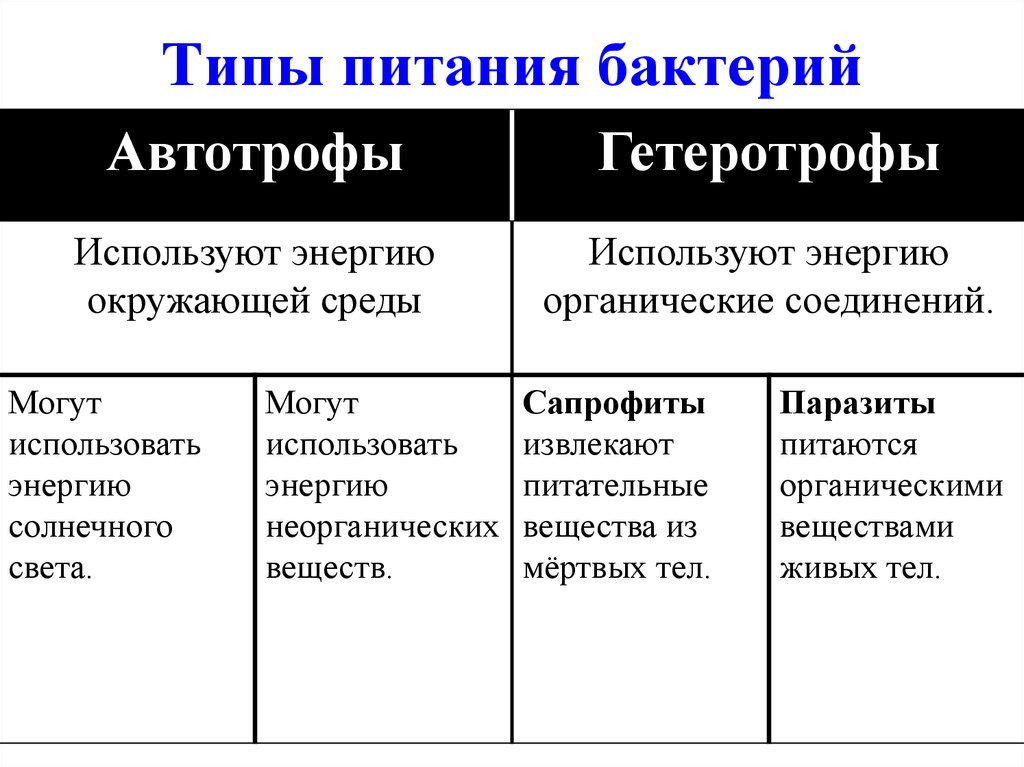 Типы питания класс. Типы питания бактерий. Бактерии по типу питания. Тип питания бактериальной клетки. Какой Тип питания у бактерий.