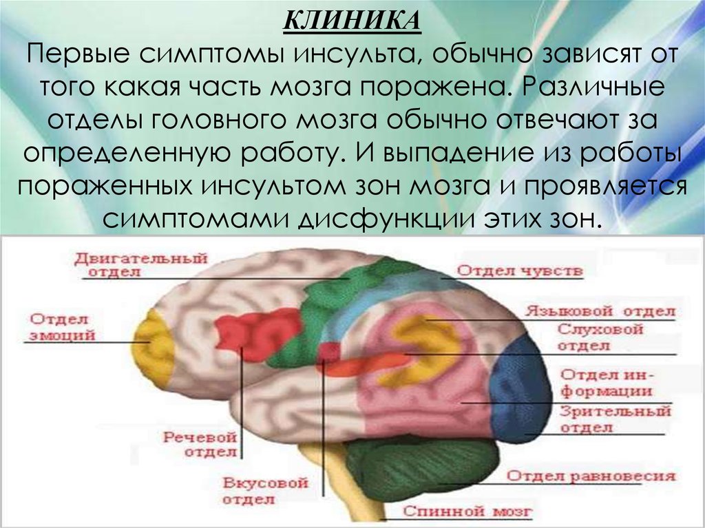 Симптомы нарушения работы отдела головного мозга