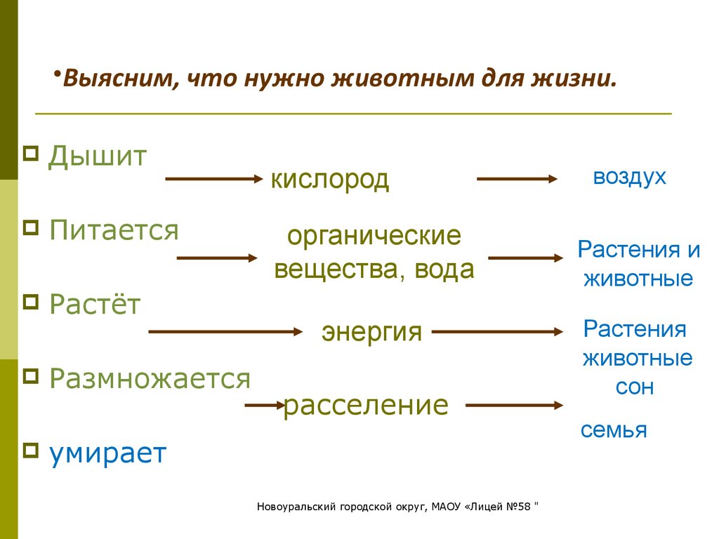 Управление живым организмом общества