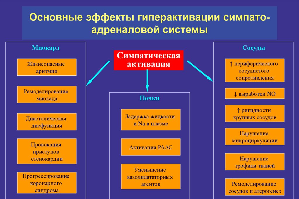 Симпатоадреналовая система схема