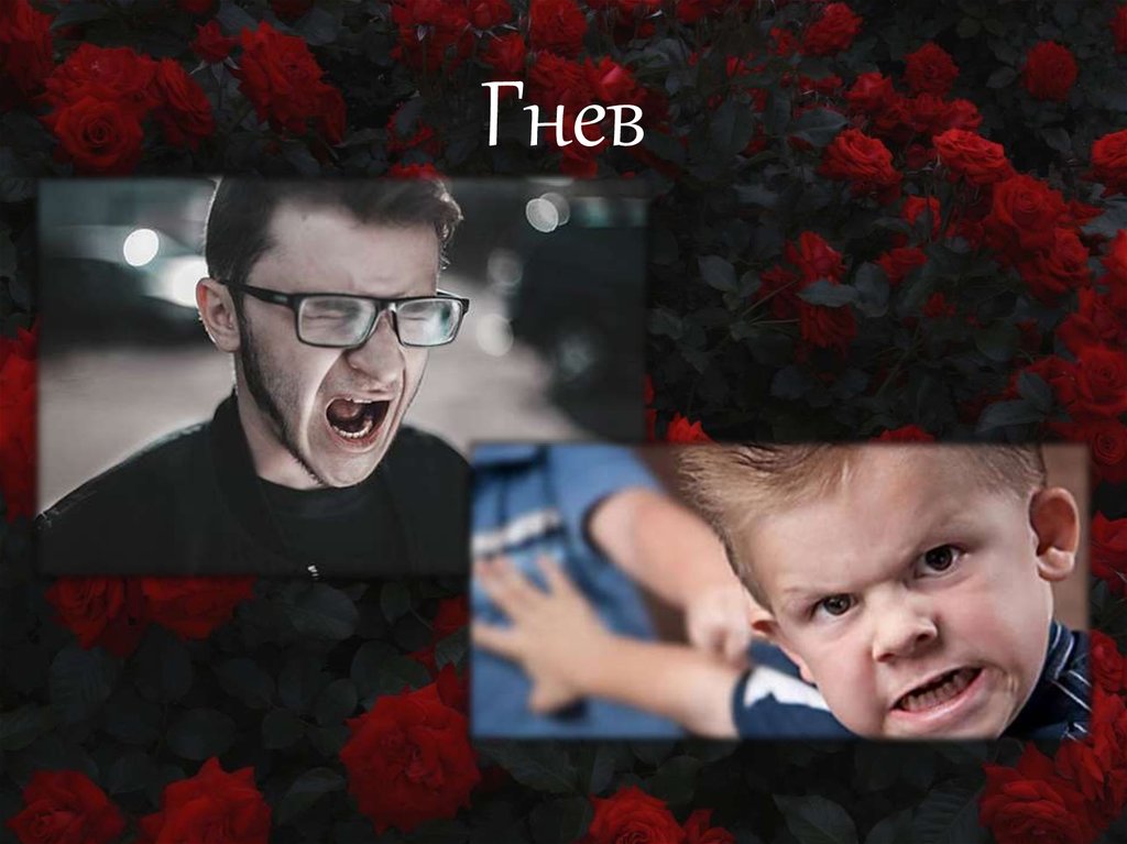 Гнев