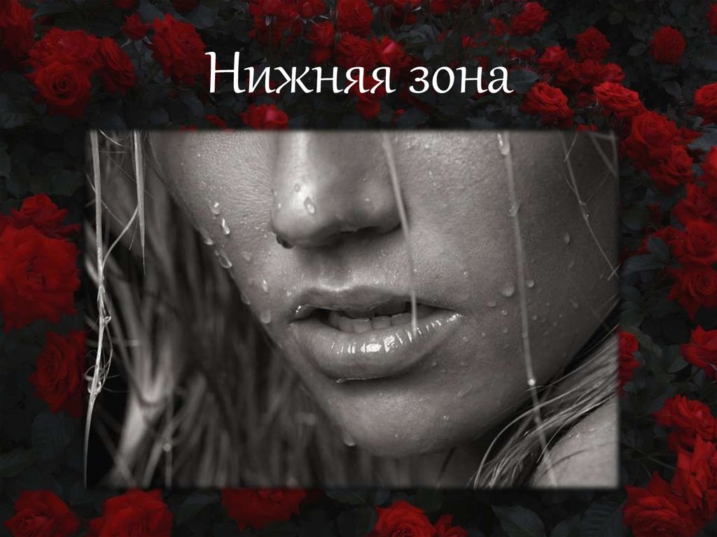 Нижняя зона