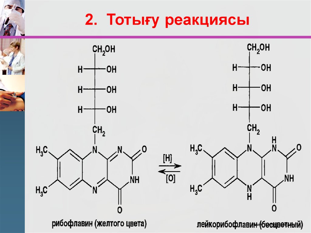 Алу реакциясы. Изоаллоксазин. Птерин. Тоты5у тоты0сыздану реакциялары. Sulfidlar reaktsiyasi.
