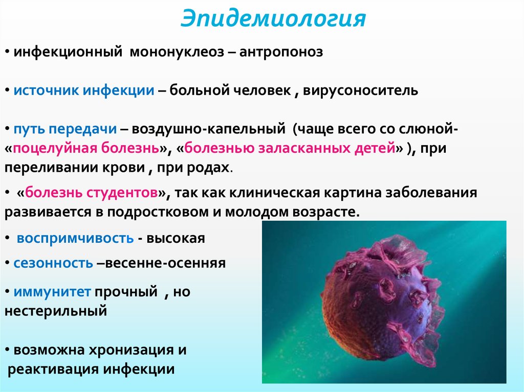 Мононуклеоз вирус эпштейна