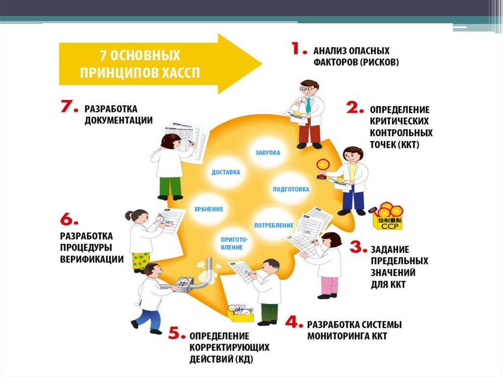 Мониторинг точки роста