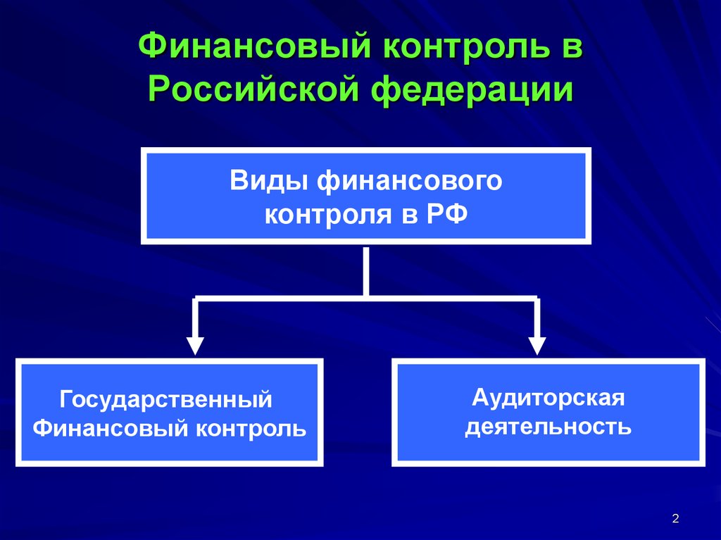 Аудит в системе финансового контроля