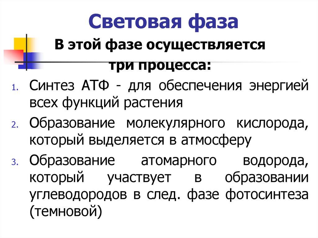 Пути образования. Обеспечение клетки энергией осуществляет. Световая фаза как. Световую фазу открыл. Световые фазы фототехники.