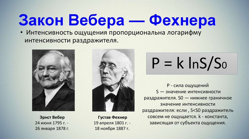 Сила ощущений. Закон Вебера Фехнера. Закон Вебера-Фехнера кратко в психологии. Психофизический закон Вебера-Фехнера кратко. Законы Бугера Вебера Вебера Фехнера и Стивенса.