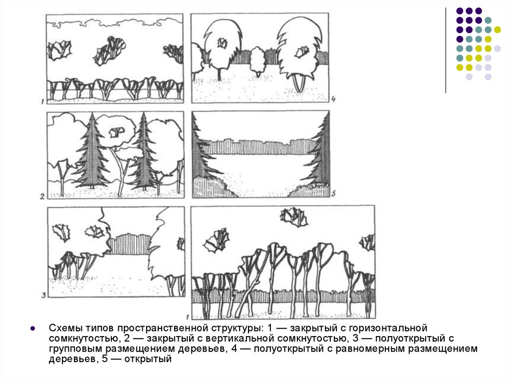 Словесное описание ландшафта. Типы объемно пространственных структур. Полуоткрытый Тип пространственной структуры. Схемы типов пространственной структуры. Типы пространственной структуры 3 и.