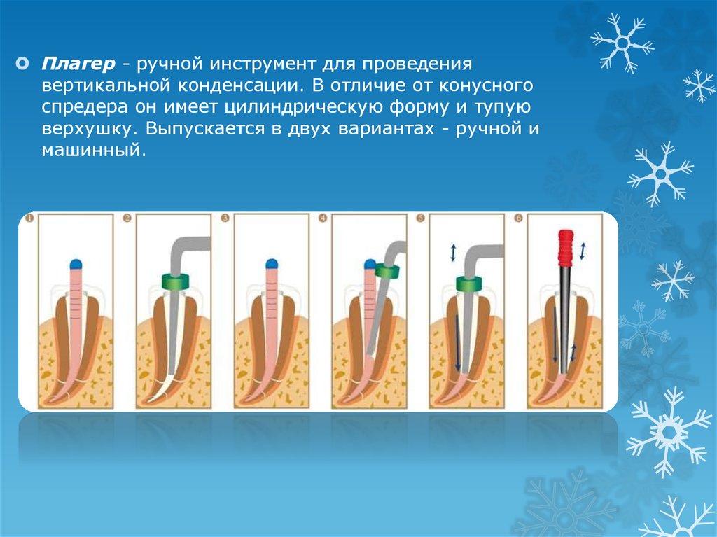 Укажите какие расширения относятся к музыкальным файлам