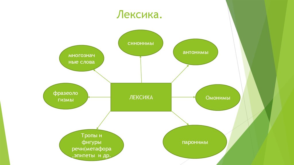 Лексикология культура речи 6 класс. Лексика. Лексика синоним. Синоним к слову лексика. Лексика и фразеология. Синонимы..