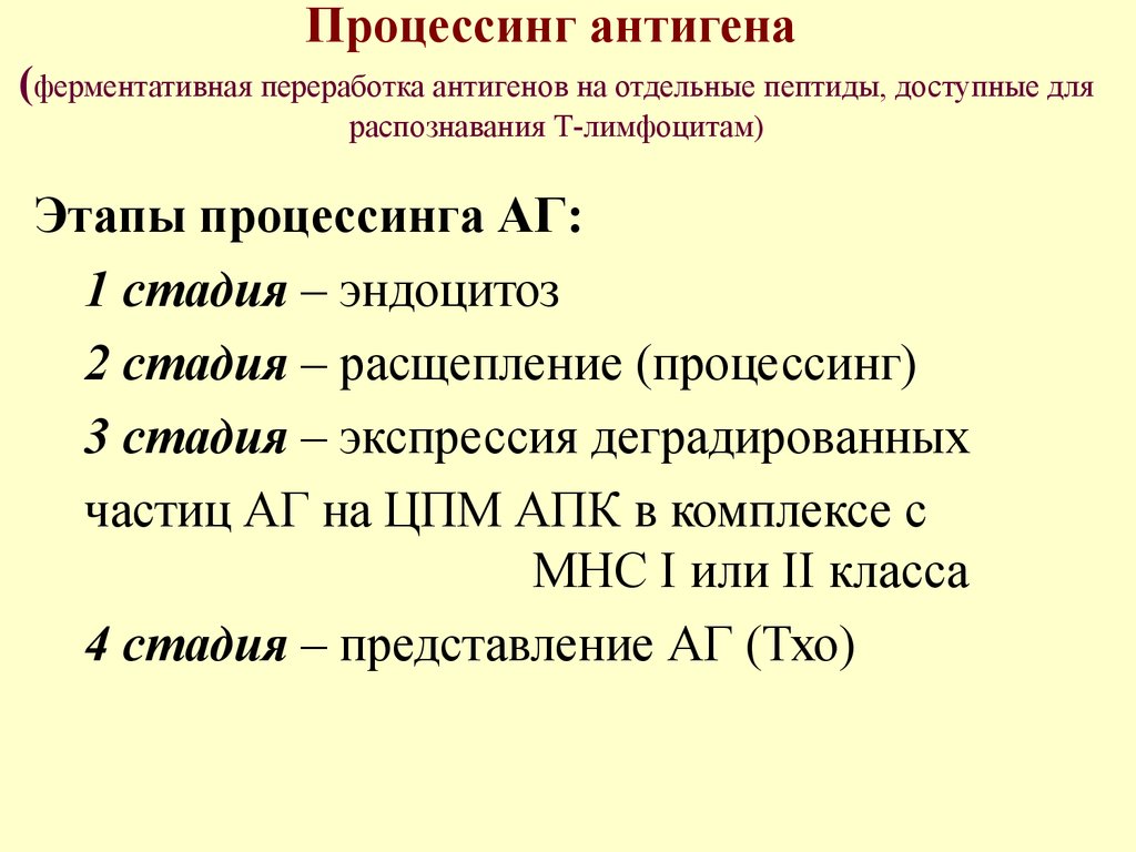 Механизм презентации антигена