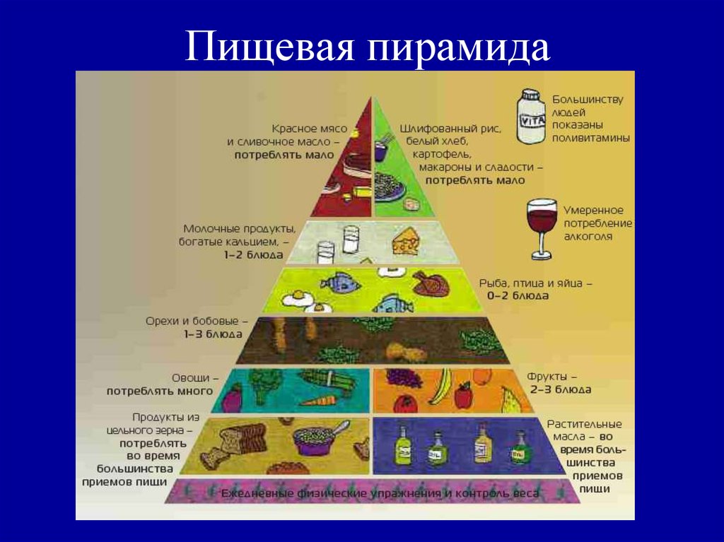 Укажите уровни пищевой пирамиды начиная с продуктов. Пищевая пирамида биология. Пищевая пирамида по биологии. Пример пищевой пирамиды. Пищевая пирамида 5 класс биология.
