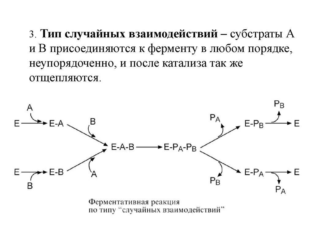 Тип случайно. Основные типы ферментативных реакций. Типы реакций ферментов. Ферментативных реакций – Тип случайных взаимодействий. Ферментативные реакции это в химии.