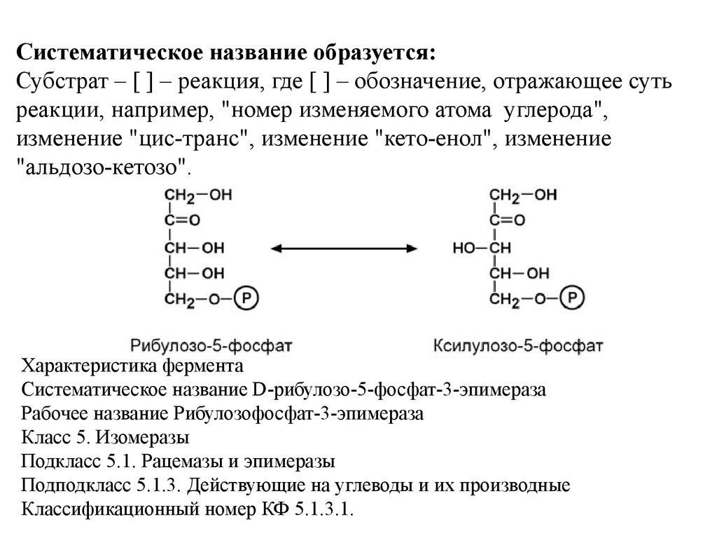 Где реакции. Систематическое название ферментов. Изомеразы подклассы. Изомеразы систематическое название. Ферменты изомеразы реакции.