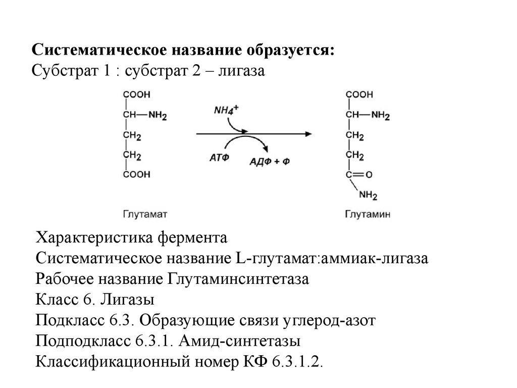 Систематическое название. Систематическое название ферментов. Систематическая номенклатура ферментов. Систематическое название аммиака. Систематическое название элемента.