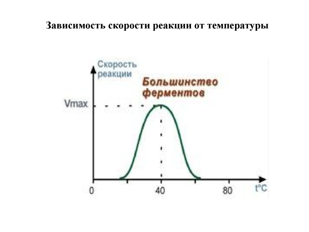 График зависимости фермента от температуры. Зависимость скорости фермента от температуры. Зависимость скорости реакции от температуры ферменты. Графическая зависимость активности фермента от температуры.
