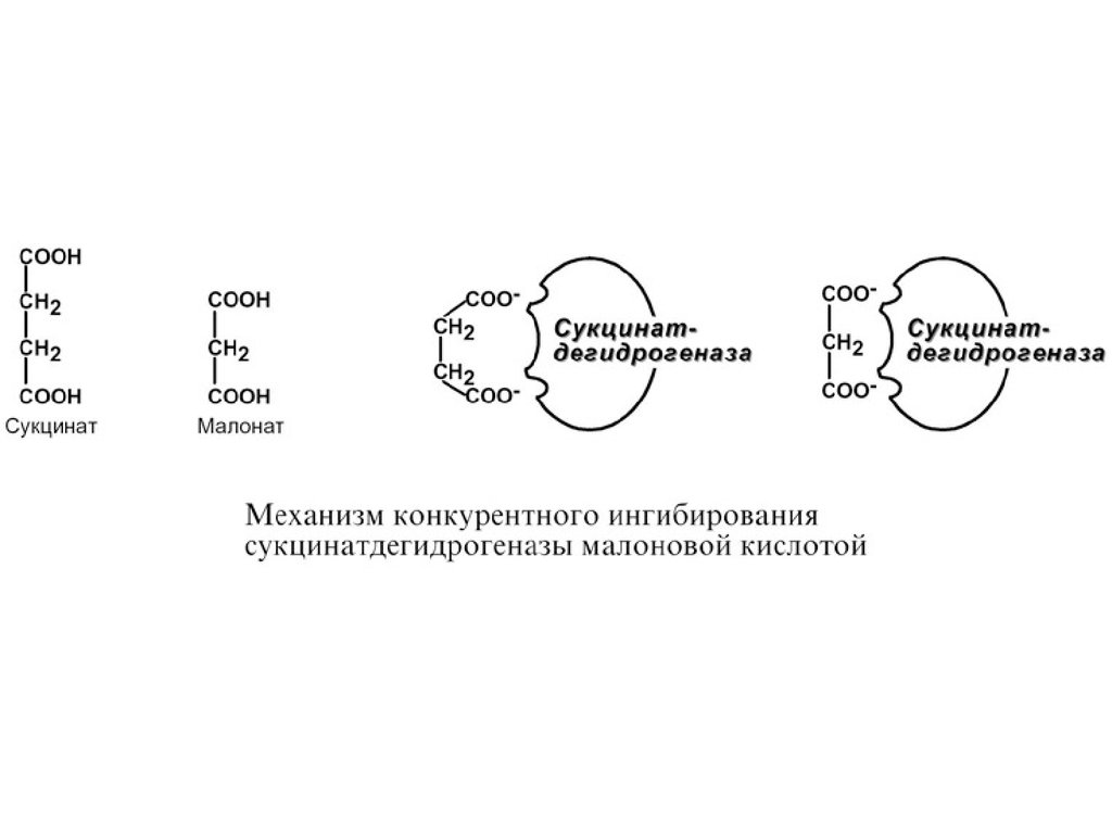 Схема анри ферменты