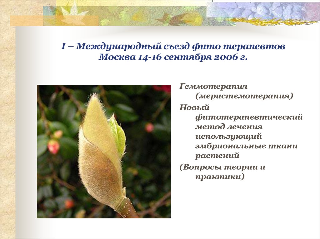 I – Международный съезд фито терапевтов Москва 14-16 сентября 2006 г.