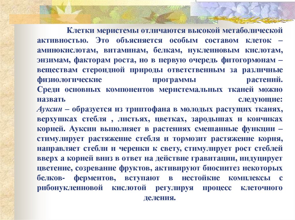 Клетки меристемы отличаются высокой метаболической активностью. Это объясняется особым составом клеток – аминокислотам, витаминам, белк