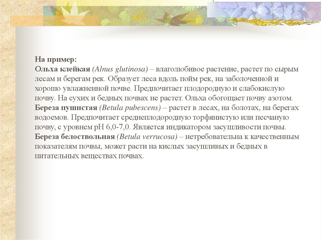 На пример: Ольха клейкая (Alnus glutinosa) – влаголюбивое растение, растет по сырым лесам и берегам рек. Образует леса вдоль пойм рек, на заболоченн