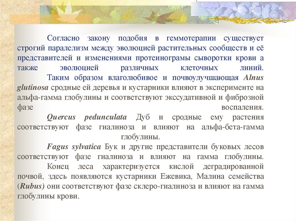 Согласно закону подобия в геммотерапии существует строгий паралелизм между эволюцией растительных сообществ и её представителей и измен
