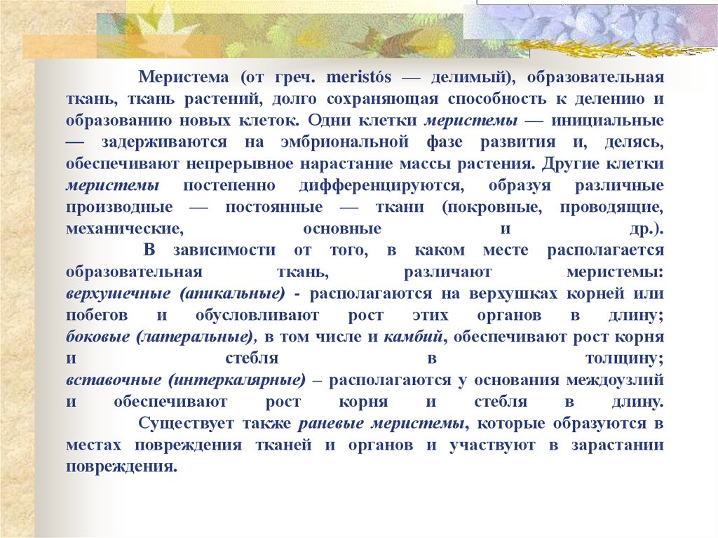 Меристема (от греч. meristós — делимый), образовательная ткань, ткань растений, долго сохраняющая способность к делению и образованию новых кл