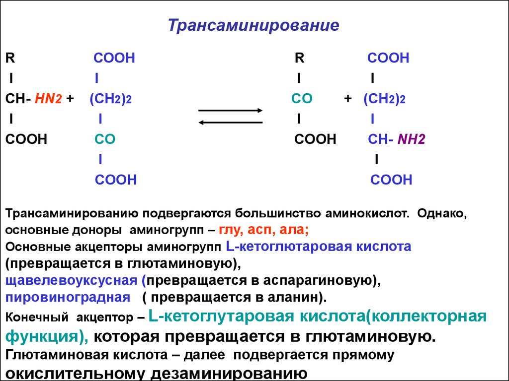 Аминокислота образуется в процессе. Трансаминирование аминокислот схема. Общая схема реакции трансаминирования аминокислот. Реакция трансаминирования аминокислот. Трансаминирования Альфа-аланина.