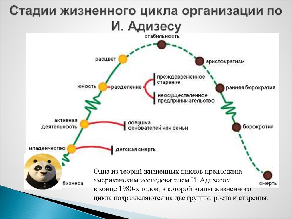 Россия на какой стадии. Жизненный цикл организации по Адизесу. Фазы жизненного цикла компании. Причины возникновения жизненного цикла организации. Организация и этапы жизненного цикла организации.
