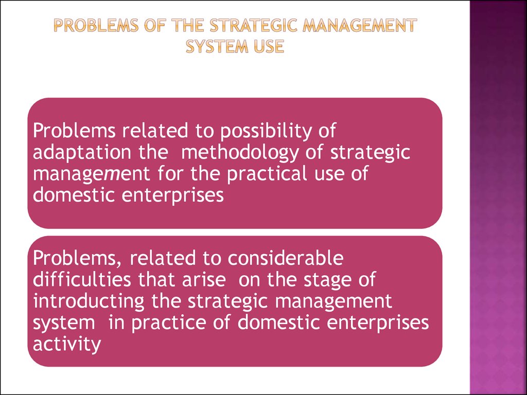 Problems of the strategic management system use